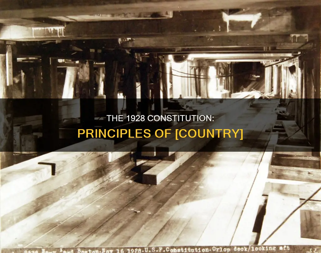 what were the main principles of 1928 constitution