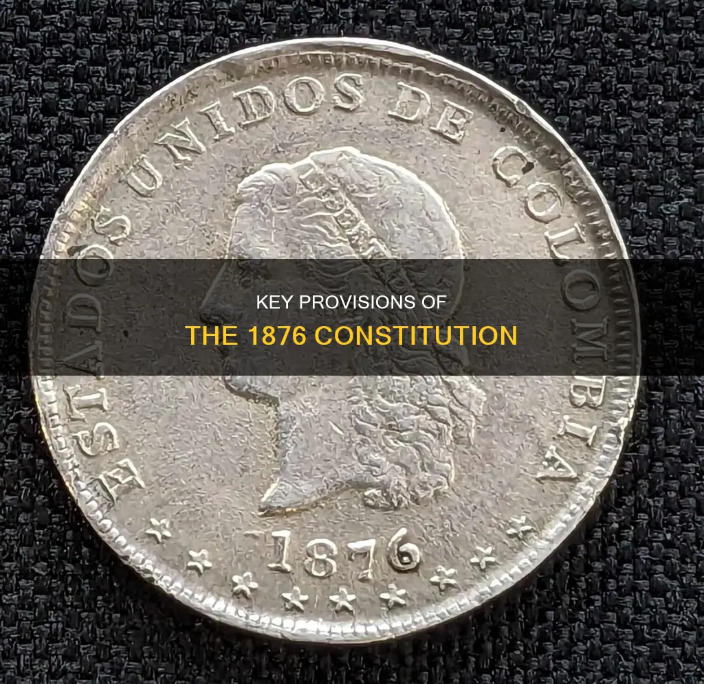 what were the main provisions constitution of 1876