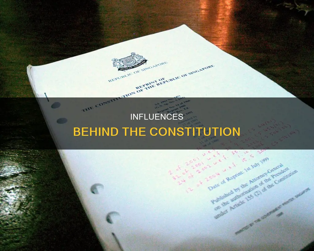 what were the main sources of influence for the constitution