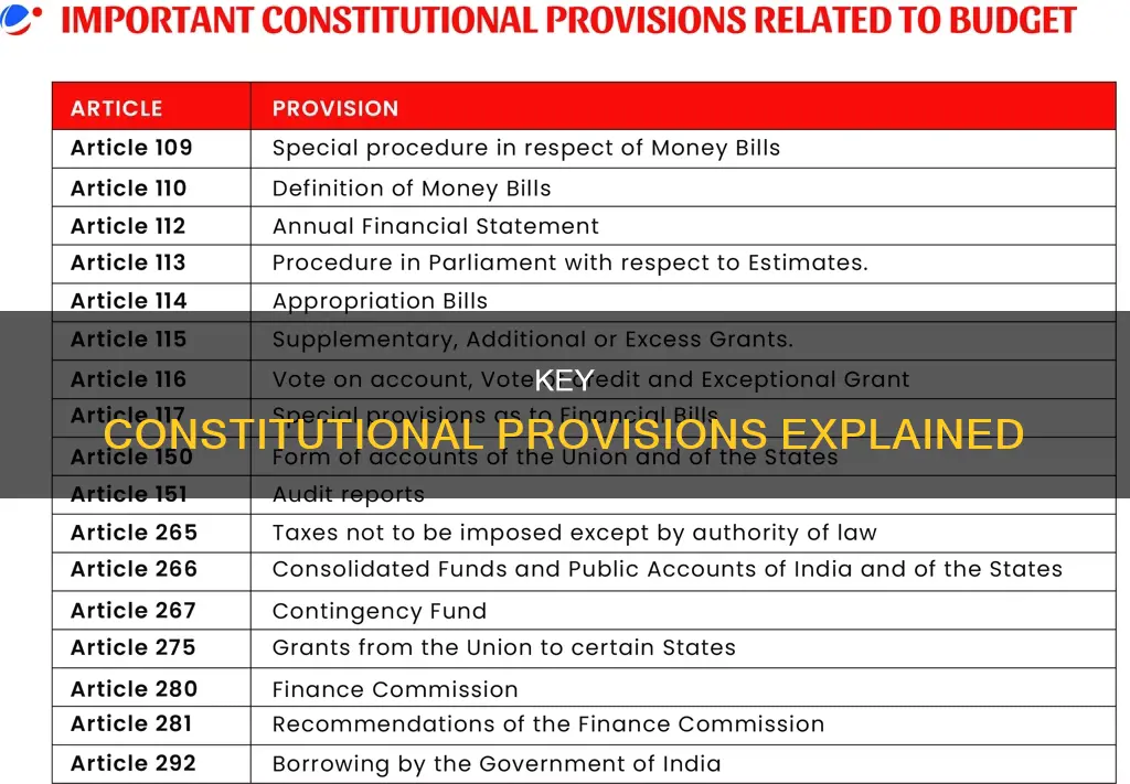 what were the major provisions of the constitution