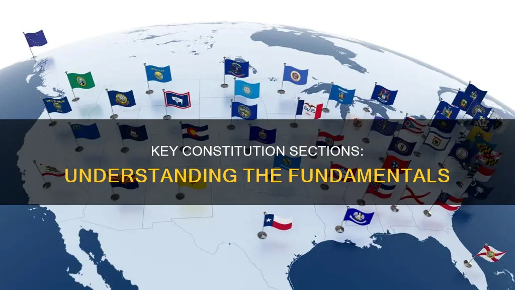 what were the major sections of the constitution