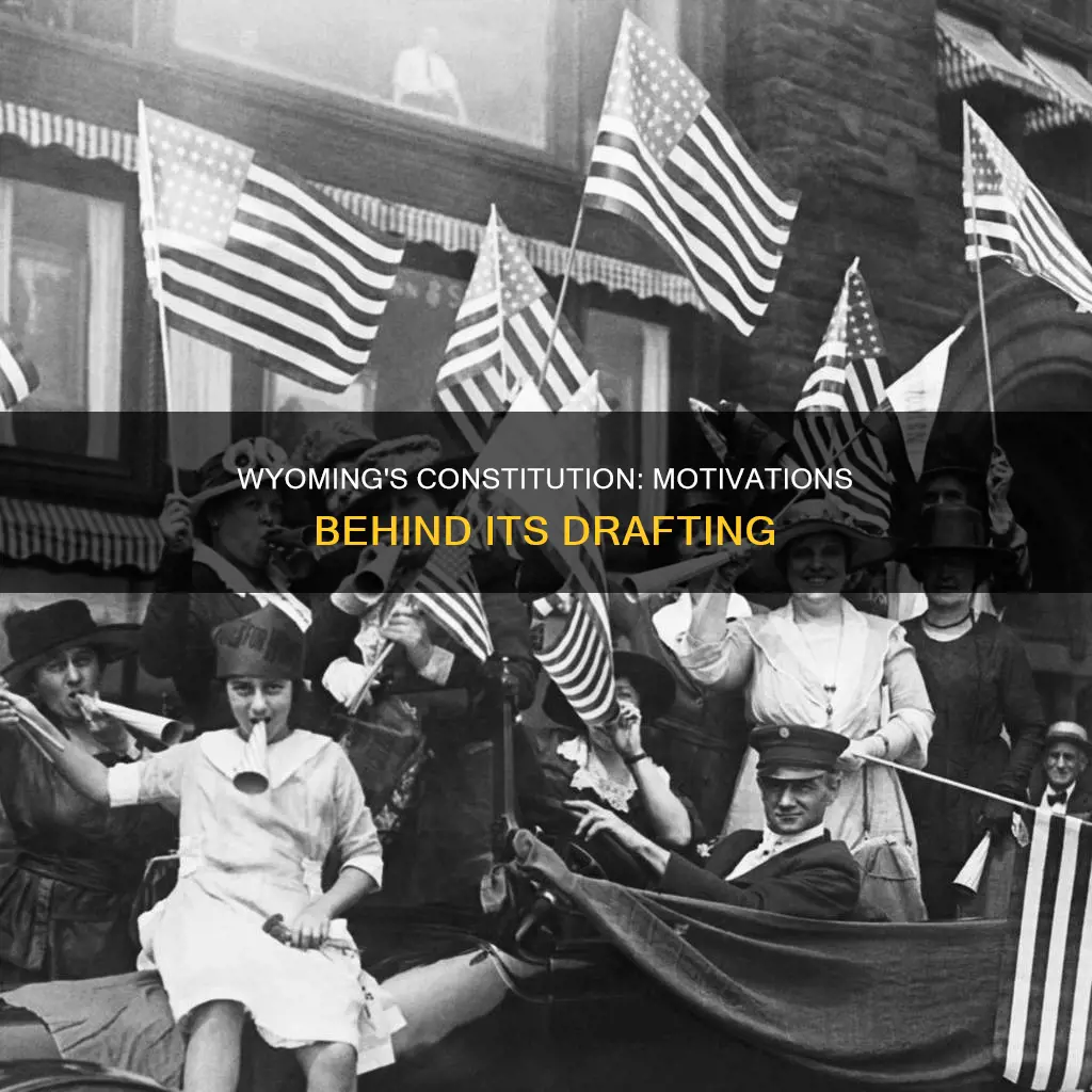 what were the majot motivations for drafting the wyomong constitution