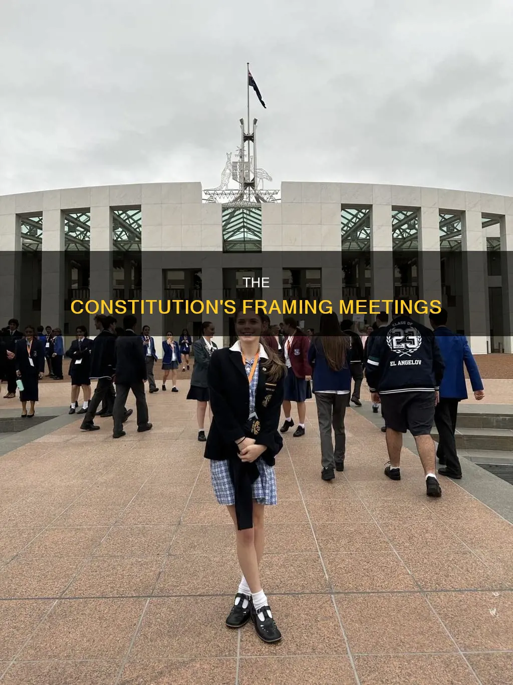 what were the meetings to discuss the constitution called