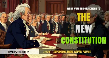 Objections to the Constitution: A Flawed Foundation?