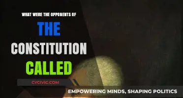 The Constitution's Opponents: Who Were They?
