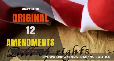 Amendments' Original Intent: Understanding the Founding Fathers' Vision