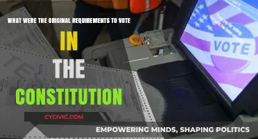 The Constitution's Original Voting Requirements