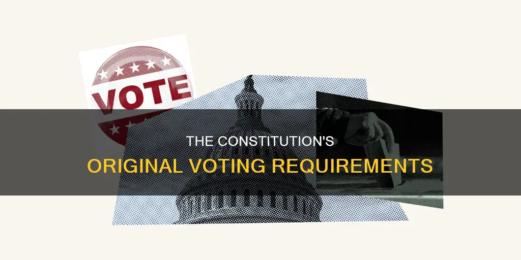 what were the original requirements to vote in the constitution