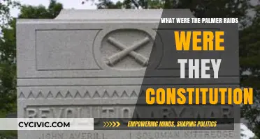 Palmer Raids: Constitutionality of a Dark Chapter in US History