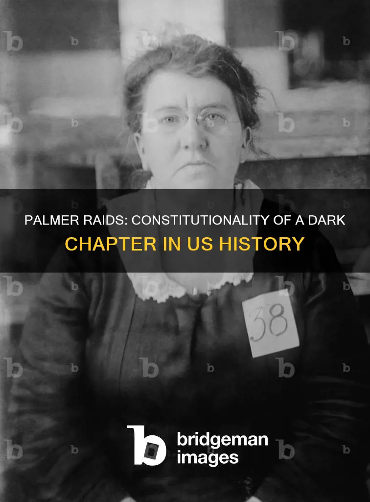 what were the palmer raids were they constitutional