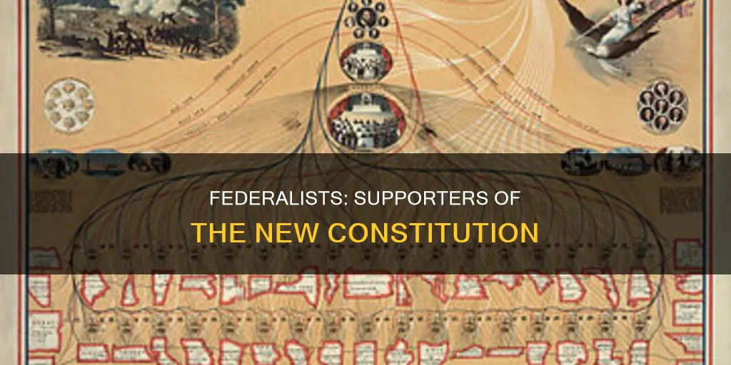 what were the people who supported the new constitution called