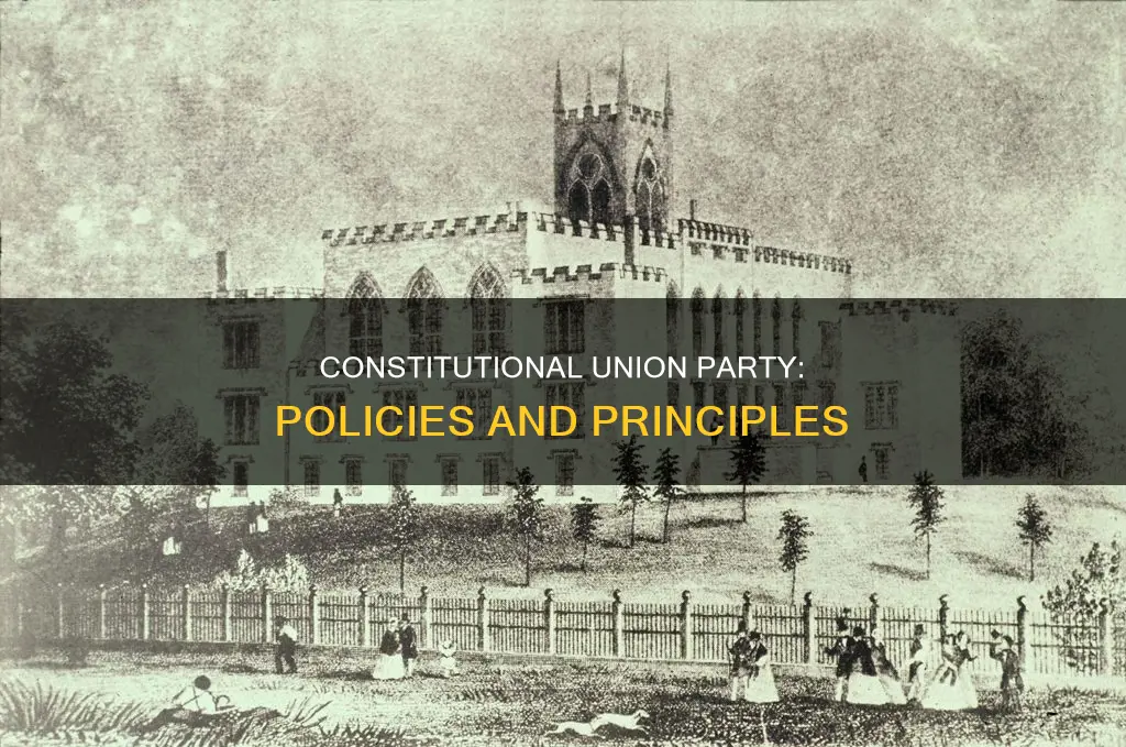 what were the policies for the constitutional union party