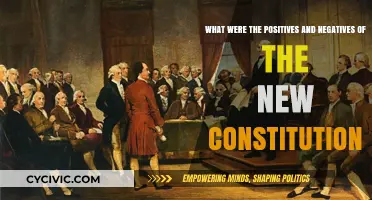 New Constitution: Positives, Negatives, and Trade-offs