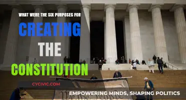 Purposes Behind the Constitution's Creation