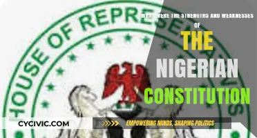 Nigerian Constitution: Strengths, Weaknesses, and All