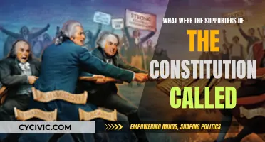 Federalists: Supporters of the Constitution in the US