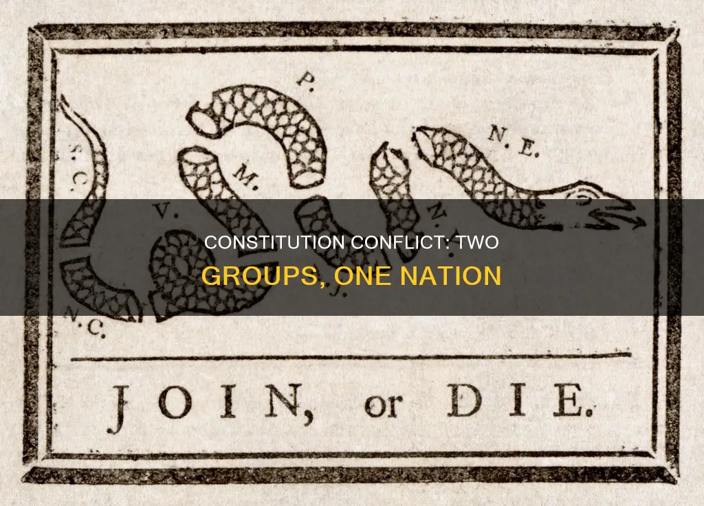 what were the two opposing groups of the constitution