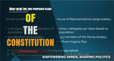 The Plans Behind Our Constitution