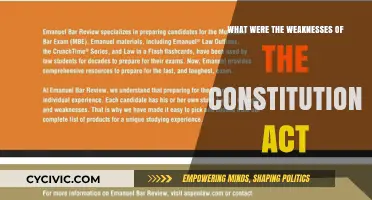 Weak Constitutional Act: What Were Its Flaws?