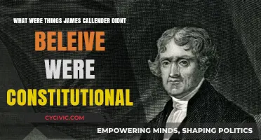 Callender's Constitutional Beliefs: What He Didn't Support