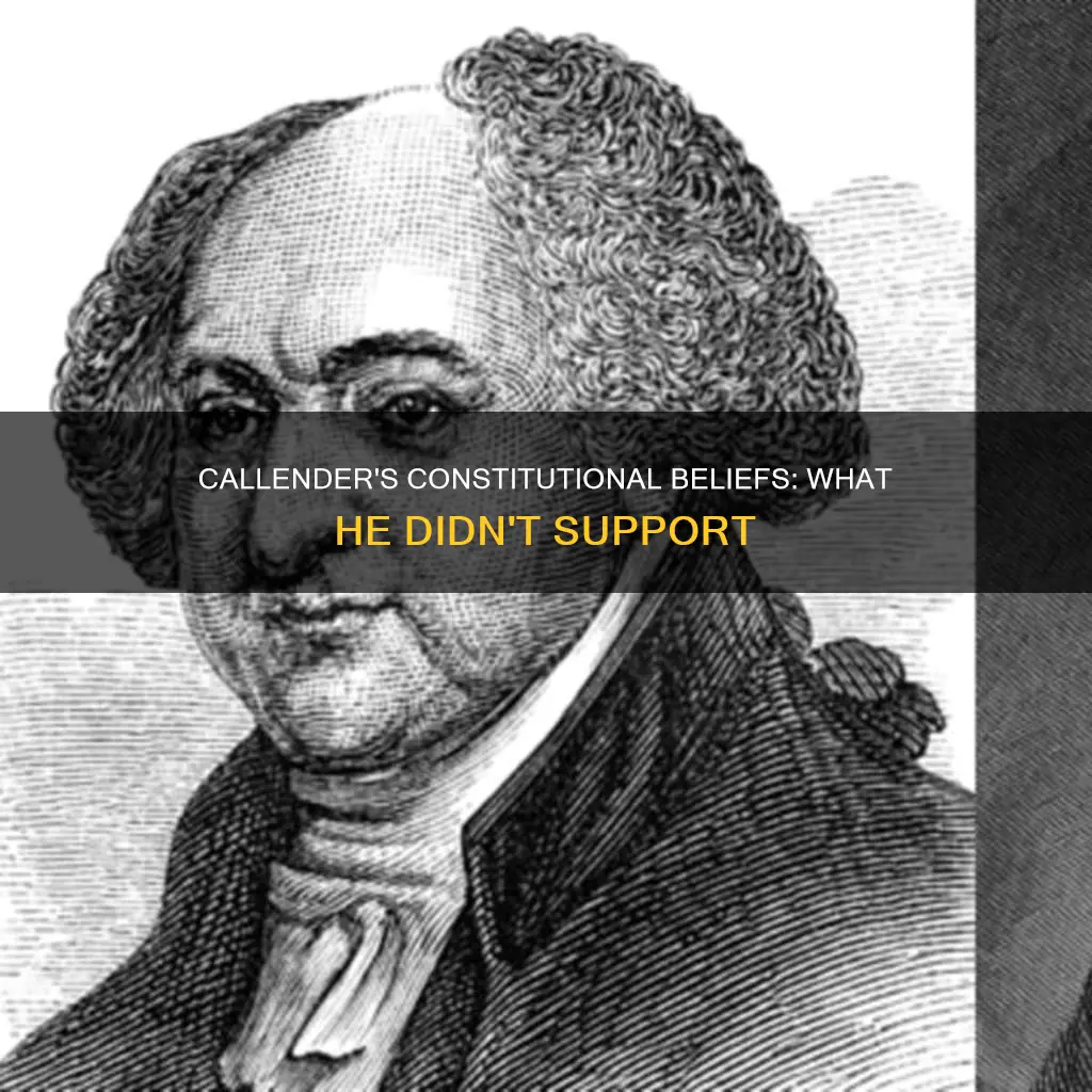 what were things james callender didnt beleive were constitutional