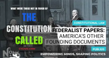 Anti-Federalists: The Constitution's Early Critics