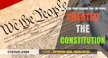 Founding Fathers' Vision: Constitution's Core Reasons