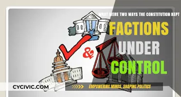 Controlling Factions: Constitution's Balancing Act