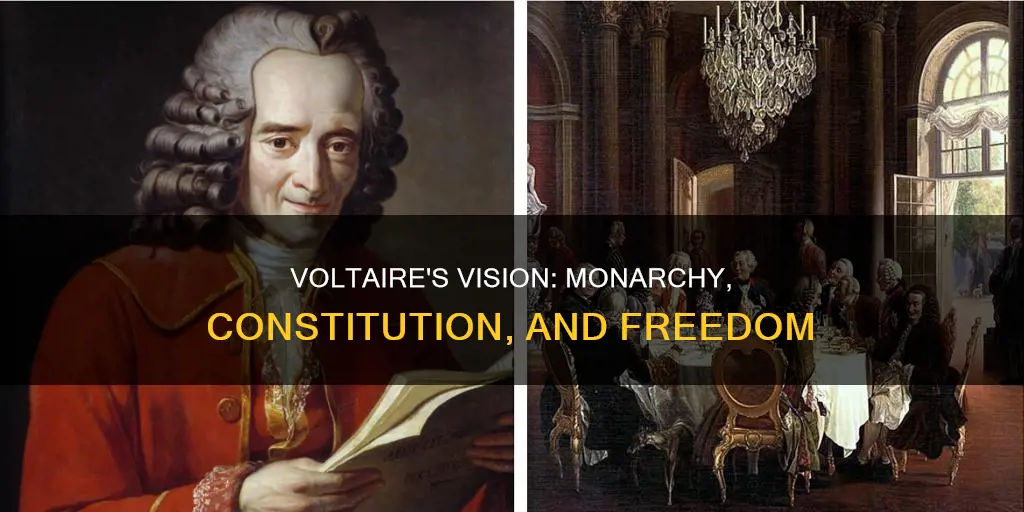 what were voltaire