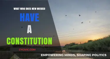 New Mexico's Constitution: A Historical Overview