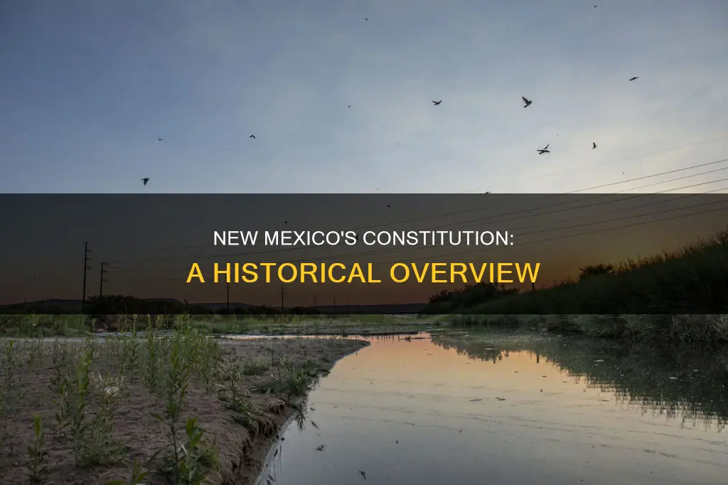 what wh6 does new mexico have a constitution