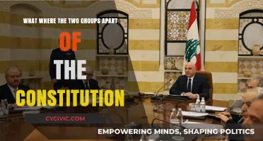 The Constitution's Two Founding Factions