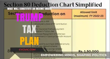 Trump's Tax Plan: What Counts as Income?