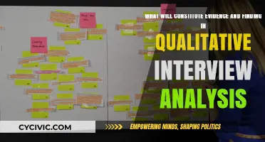 Qualitative Interview Analysis: Evidence and Findings Explained