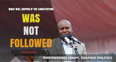 Democracy's End: Chaos Without Constitution