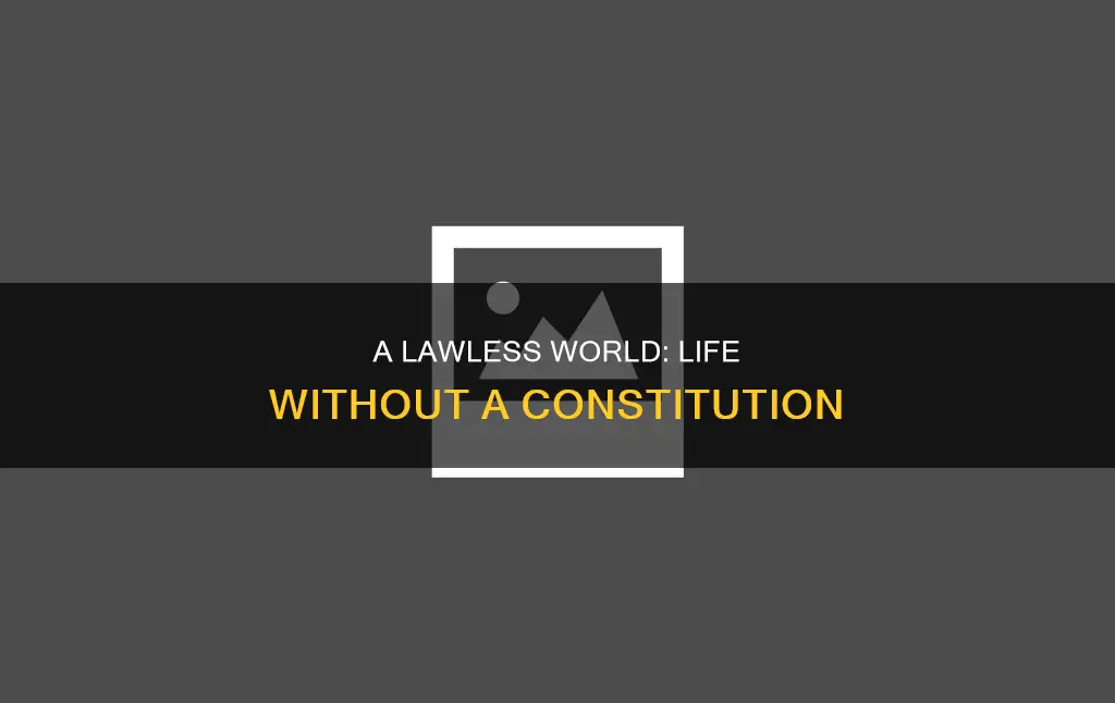what will happen if there is no constitution