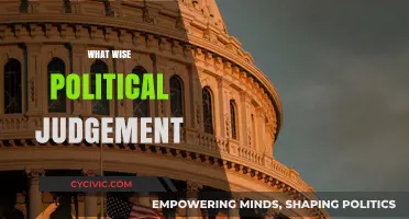 Cultivating Wise Political Judgment: Strategies for Effective Leadership and Decision-Making