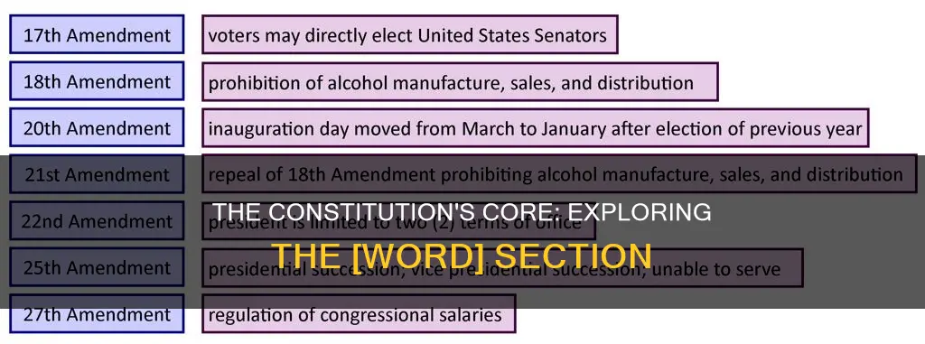 what word describes a section of the original constitution