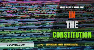 The Constitution's Missing Word: A Surprising Omission