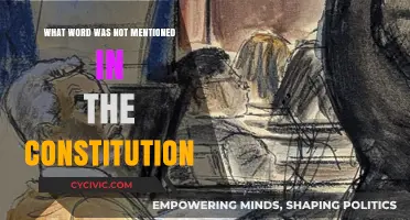 Unspoken Word: The Constitution's Missing Term