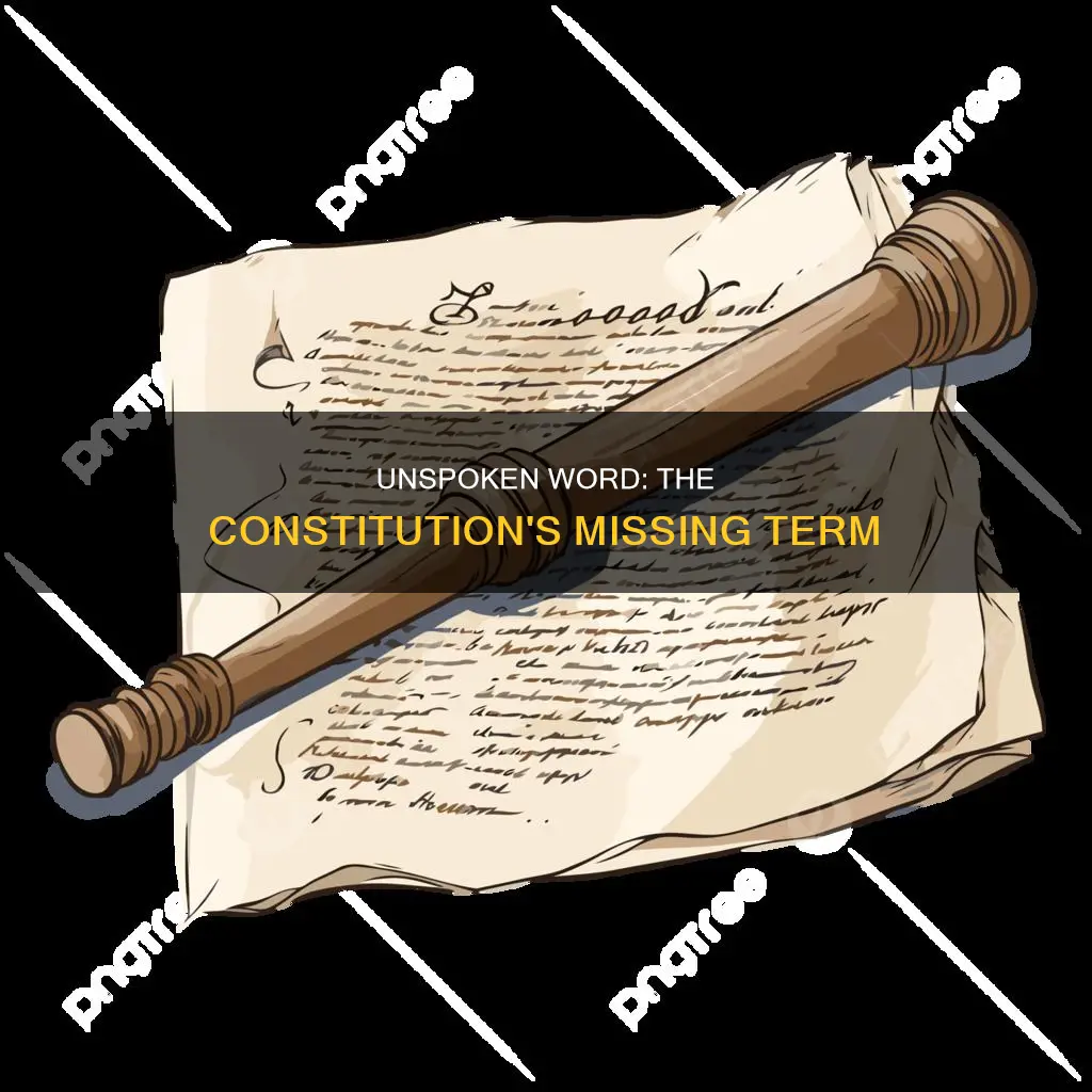what word was not mentioned in the constitution