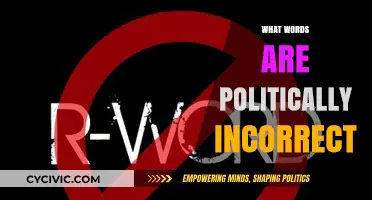 Navigating Language Sensitivity: Identifying Politically Incorrect Words and Phrases