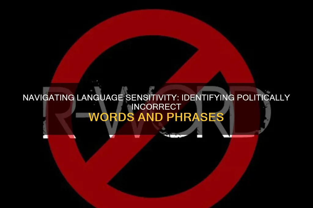 what words are politically incorrect