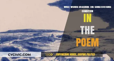 The Constitution's Condition: Poetic Words Explained