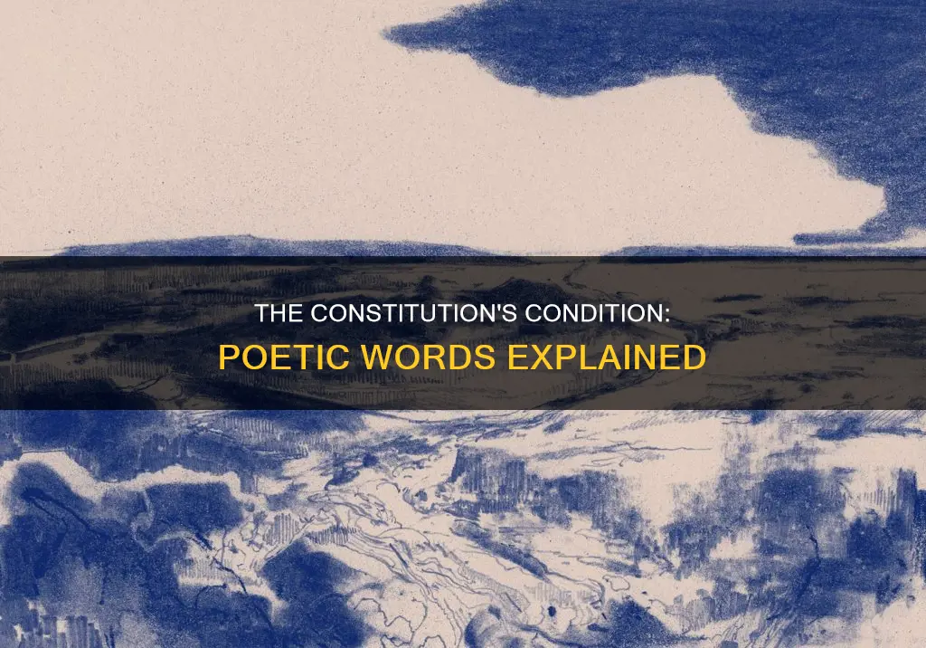 what words describe the constitutions condition in the poem