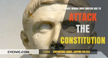 Brutus' Verbal Assault: Constitution Attacked