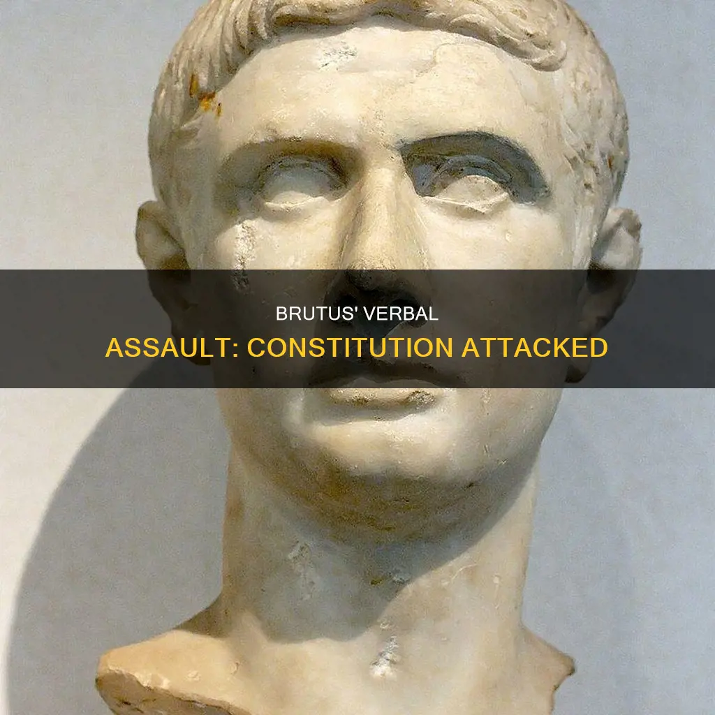 what words does brutus use to attack the constitution