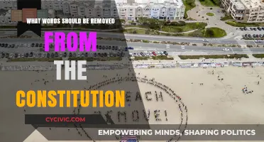 Words to Remove from the Constitution: A Critical Analysis