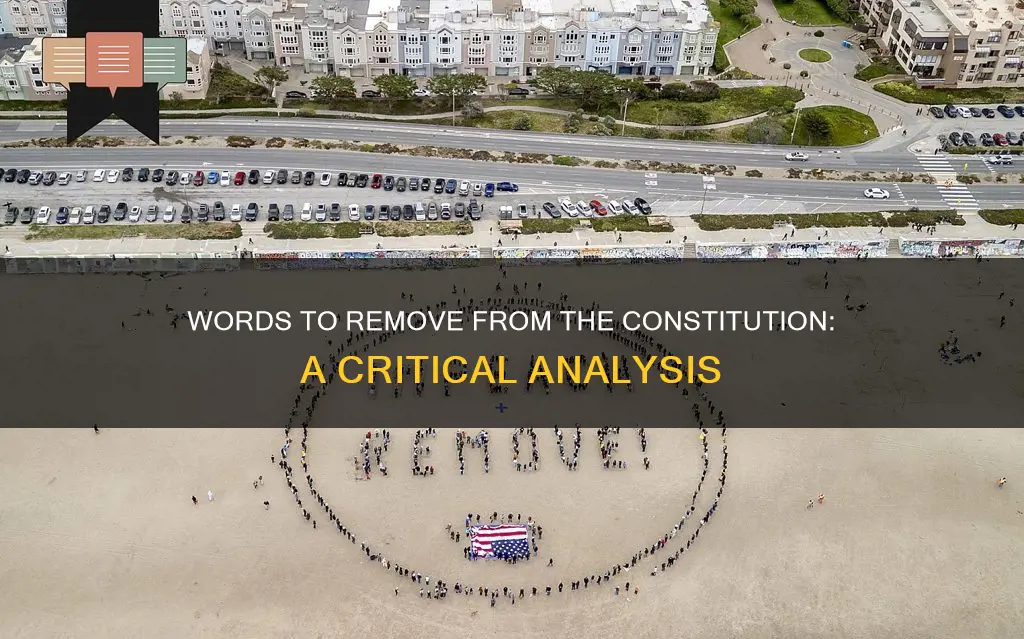 what words should be removed from the constitution