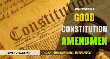 Amending the Constitution: A Necessary Evolution